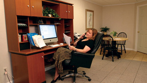 enjoy your new basement home office in Allison Park, PA
