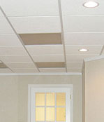 Basement ceiling tiles - West Mifflin and Gibsonia